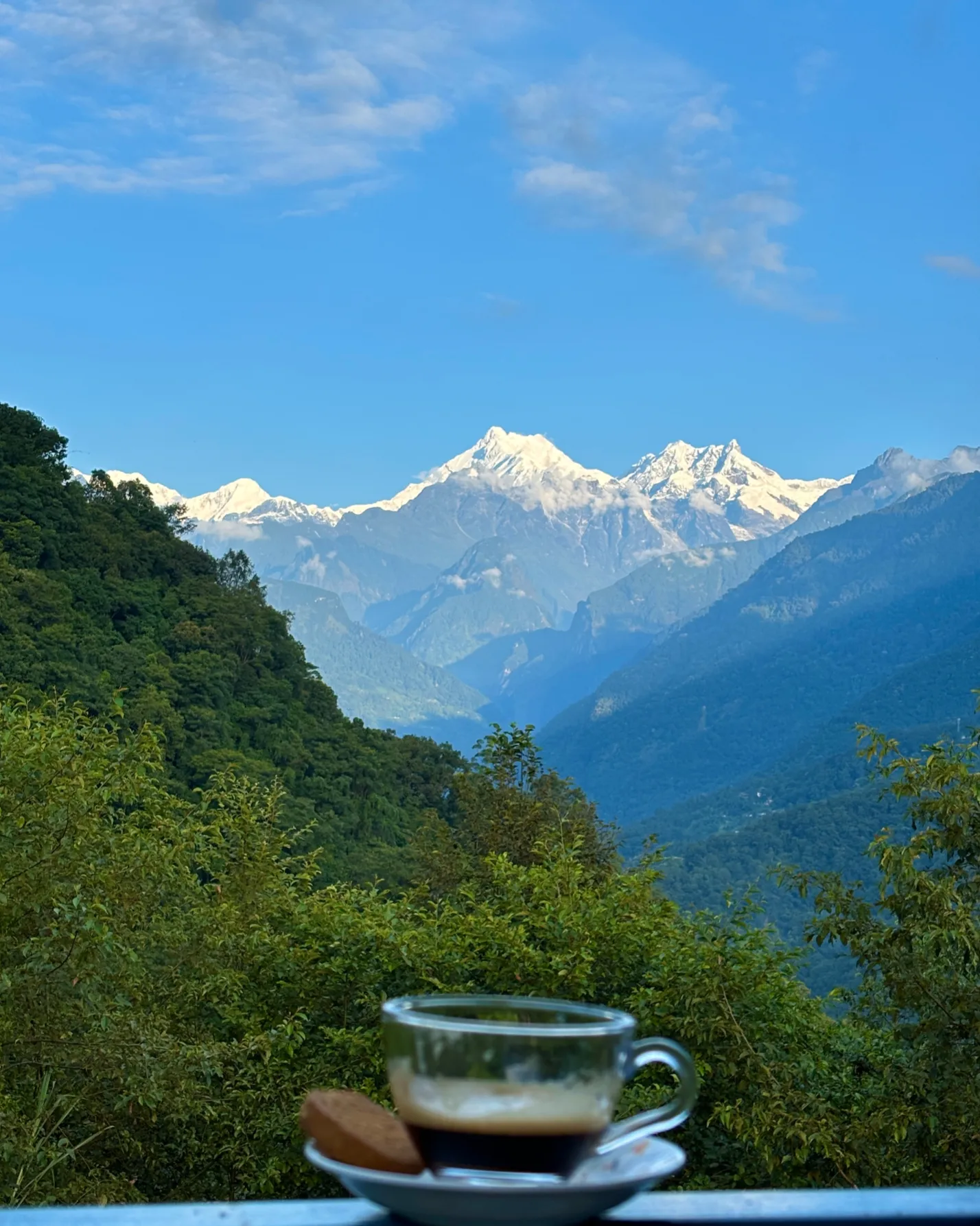 Snow-capped Kanchenjunga peaks rising beyond green hills in Dzongu, Sikkim.