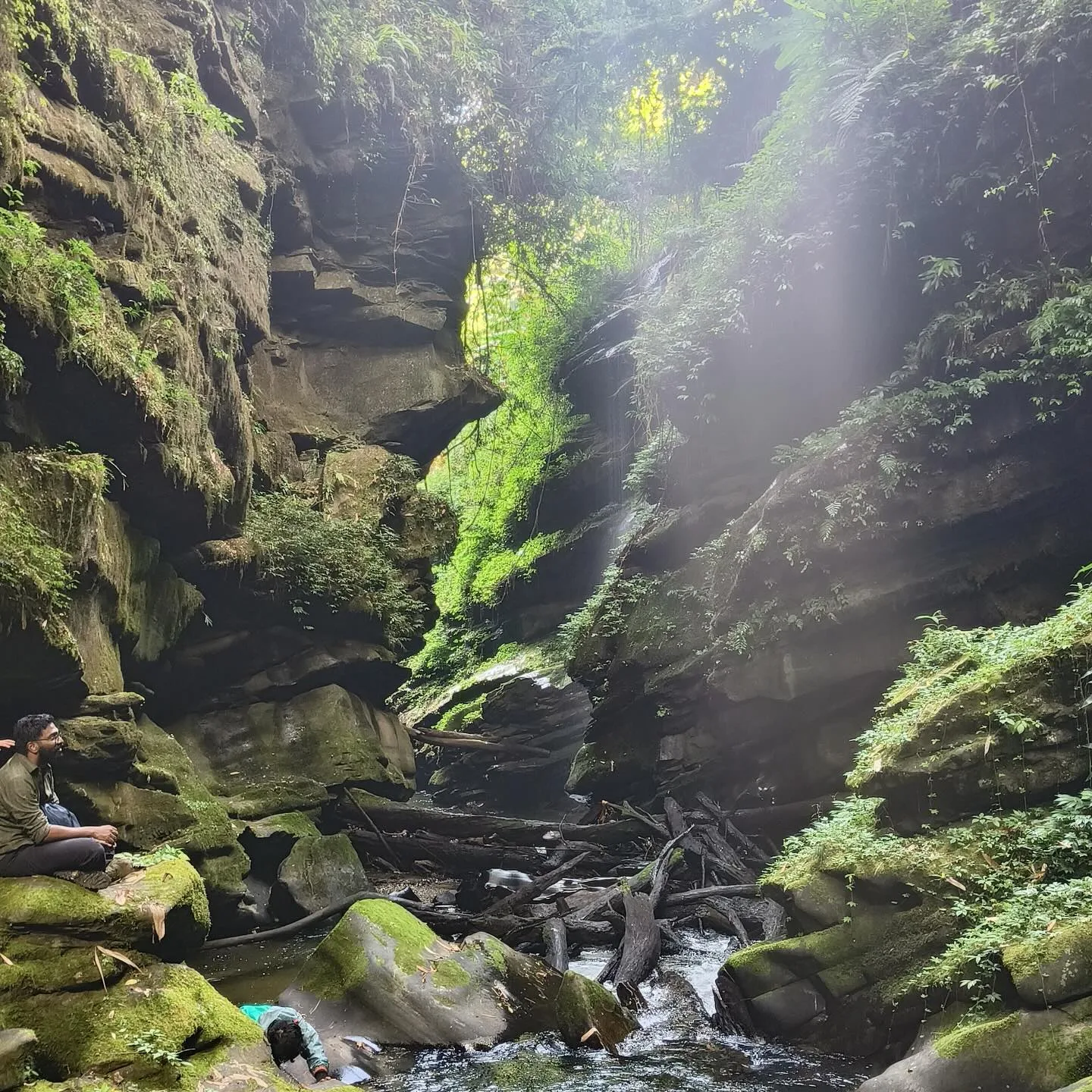 Sunbeams falling through a mossy grotto waterfall in Nagaland.